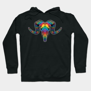 Rainbow Ram Skull Hoodie